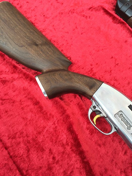 Crosman 2100 Custom