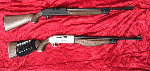 Crosman 2100 Custom