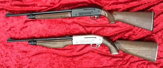 Crosman 2100 Custom